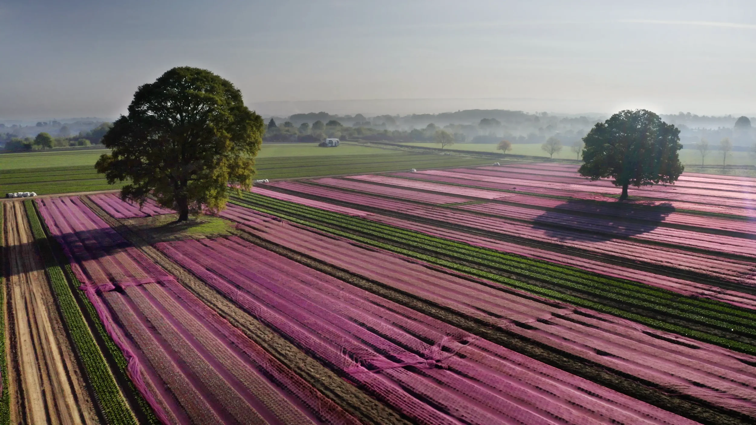 Aerial photograph by Lewis Whyld of farm land and crops covered for protection, part of his agriculture and farm work photography.