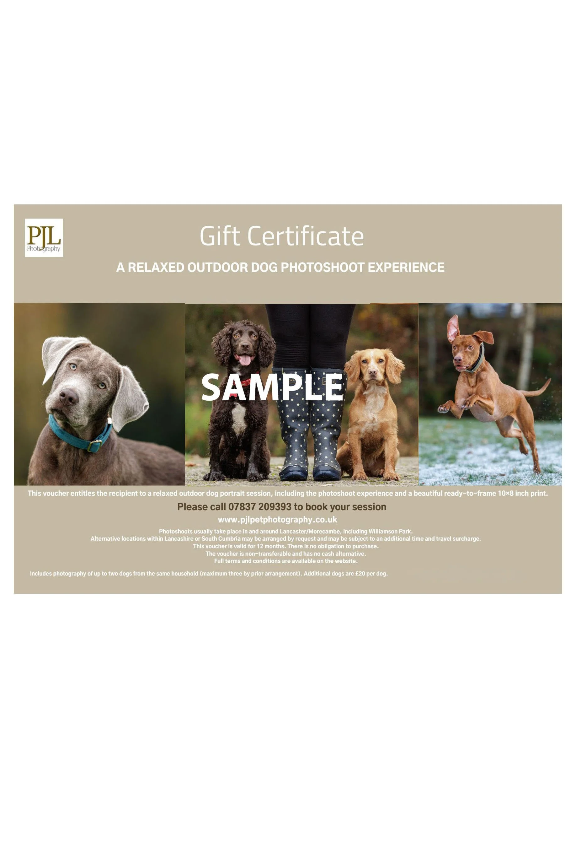 Dog Photography Experience Gift Voucher