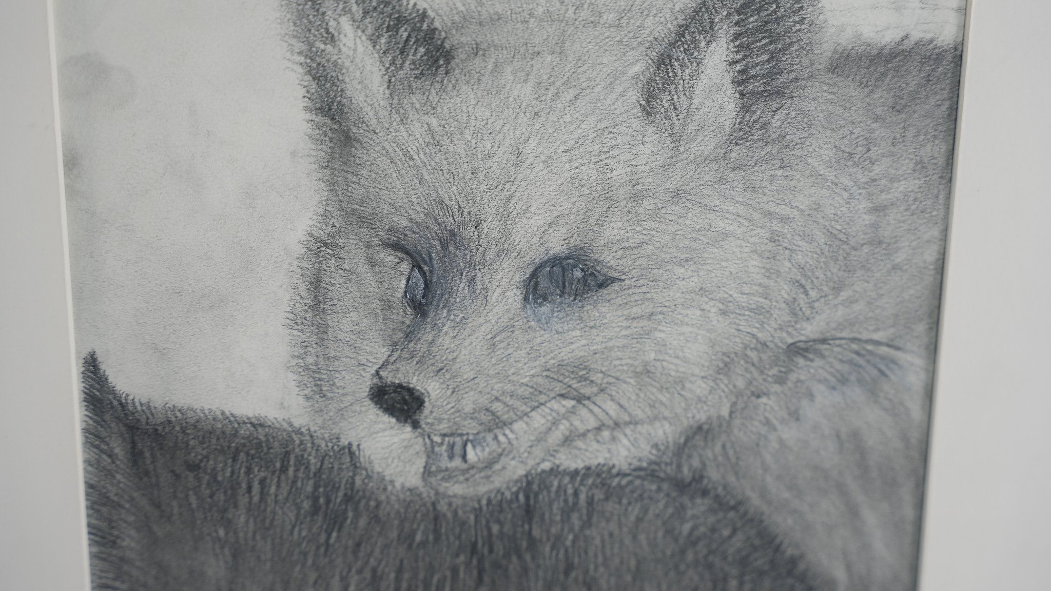 "Fox" by Sissi Fu, G6S
Graphite on paper
Starting bid at 150 RMB