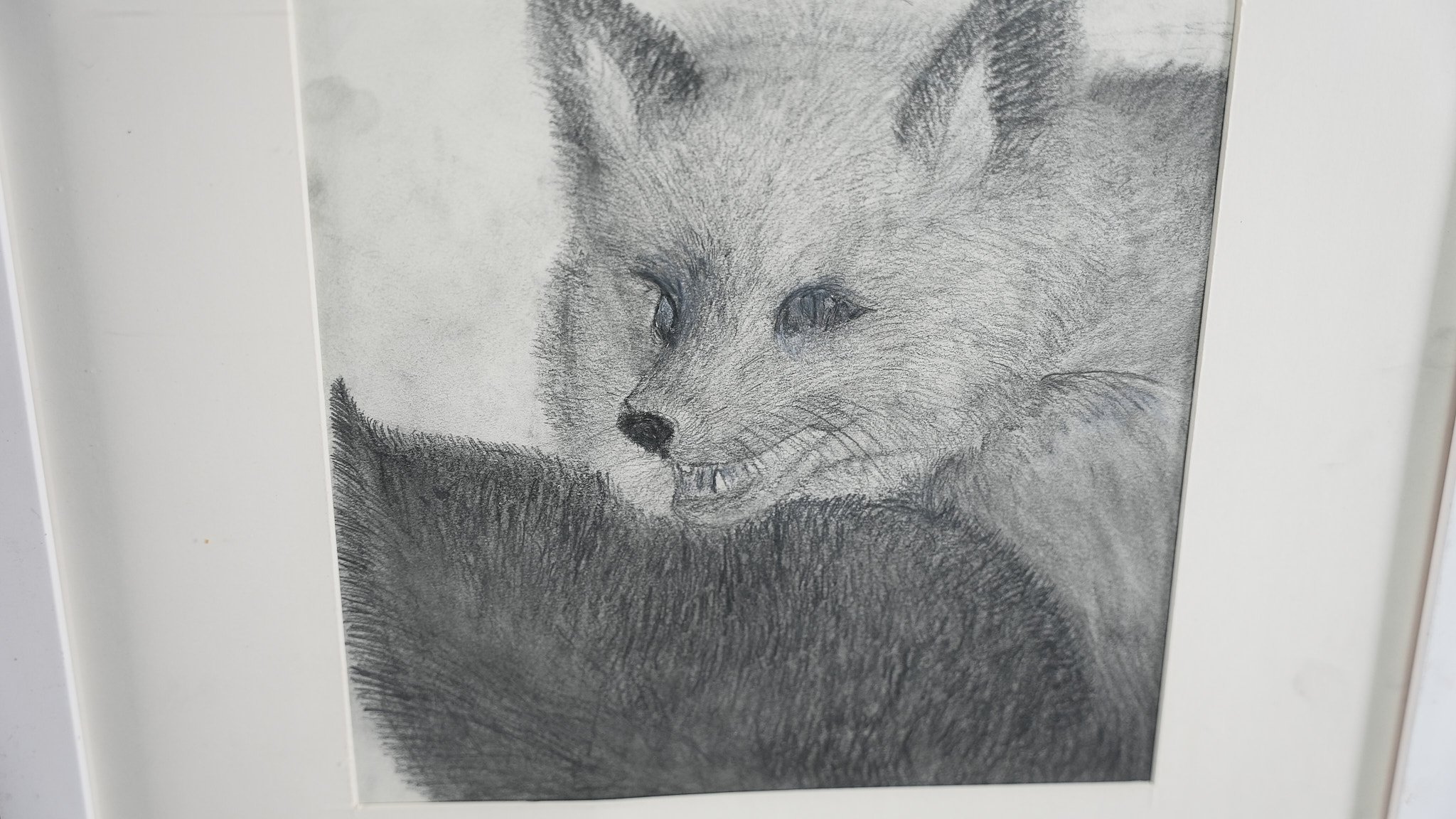 "Fox" by Sissi Fu, G6S
Graphite on paper
Starting bid at 150 RMB