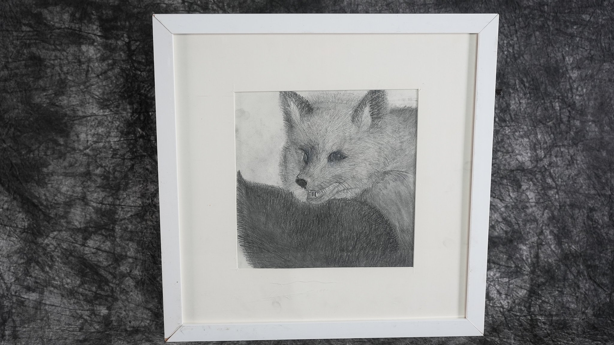 "Fox" by Sissi Fu, G6S
Graphite on paper
Starting bid at 150 RMB