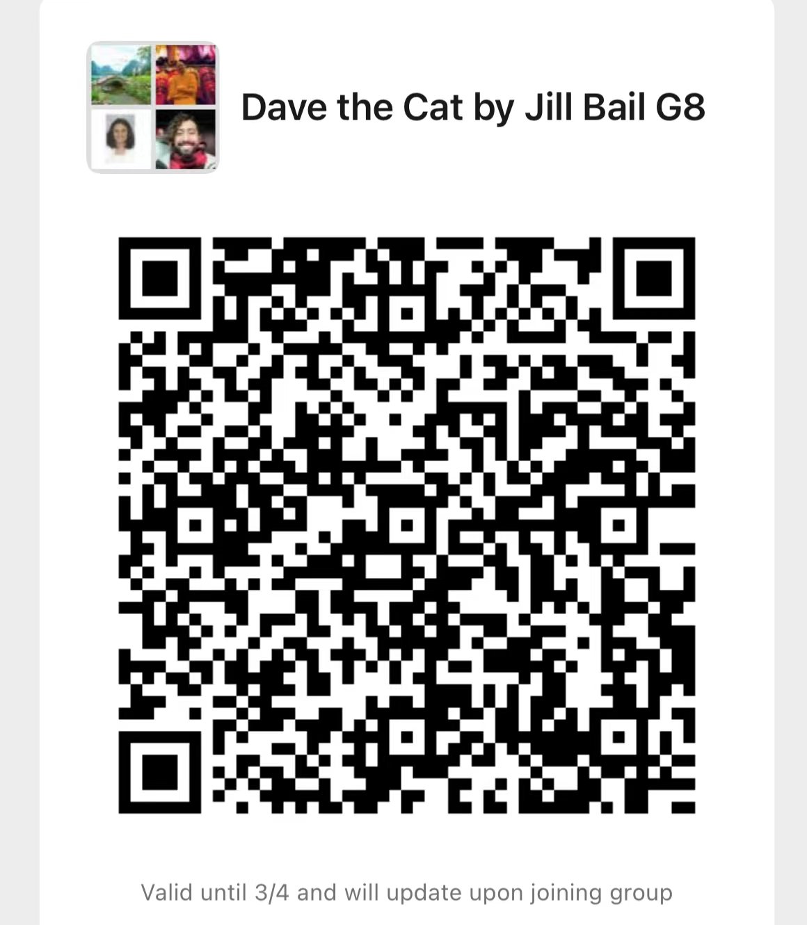 davethecatqr.jpeg