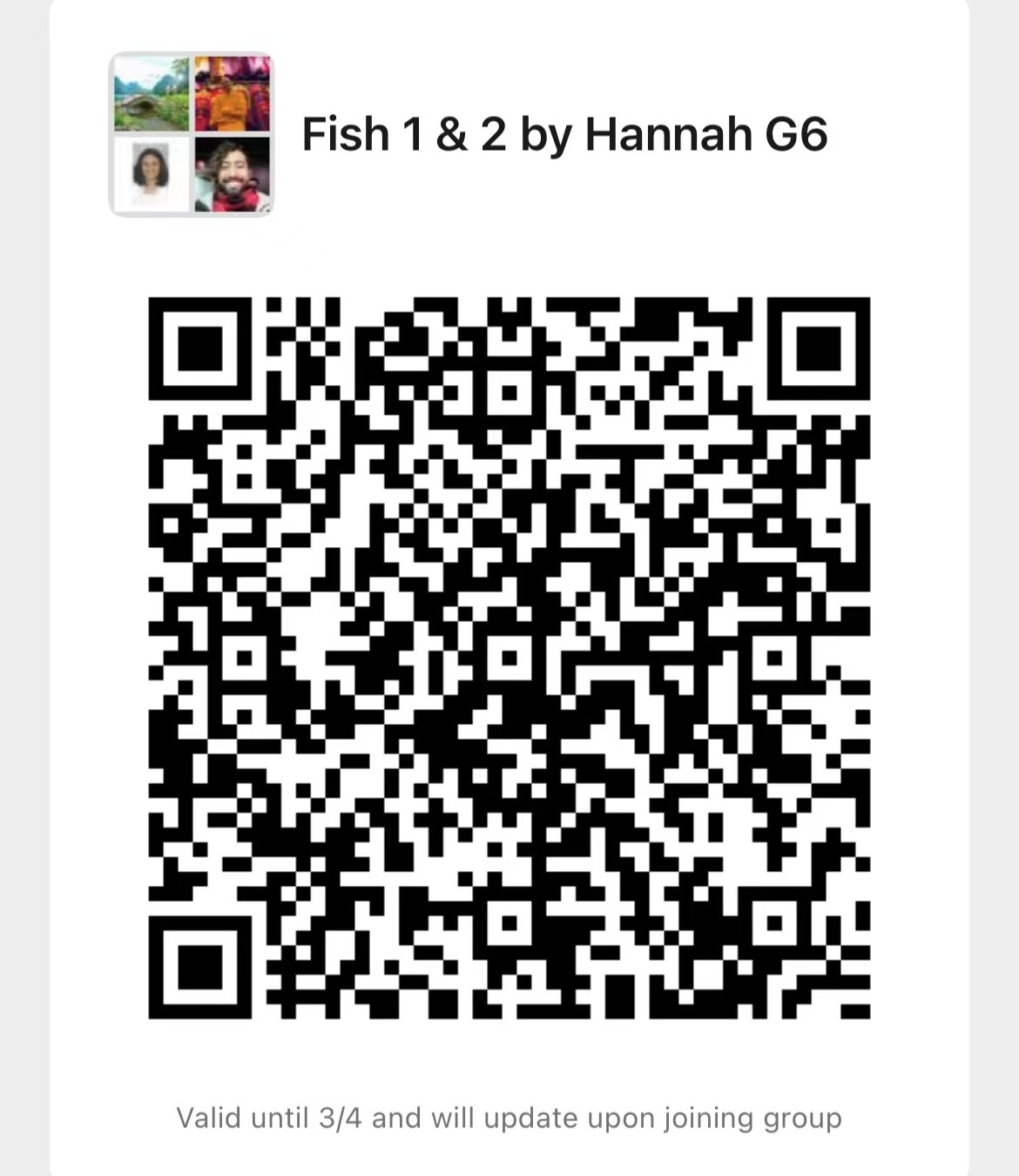 fishqr.jpeg