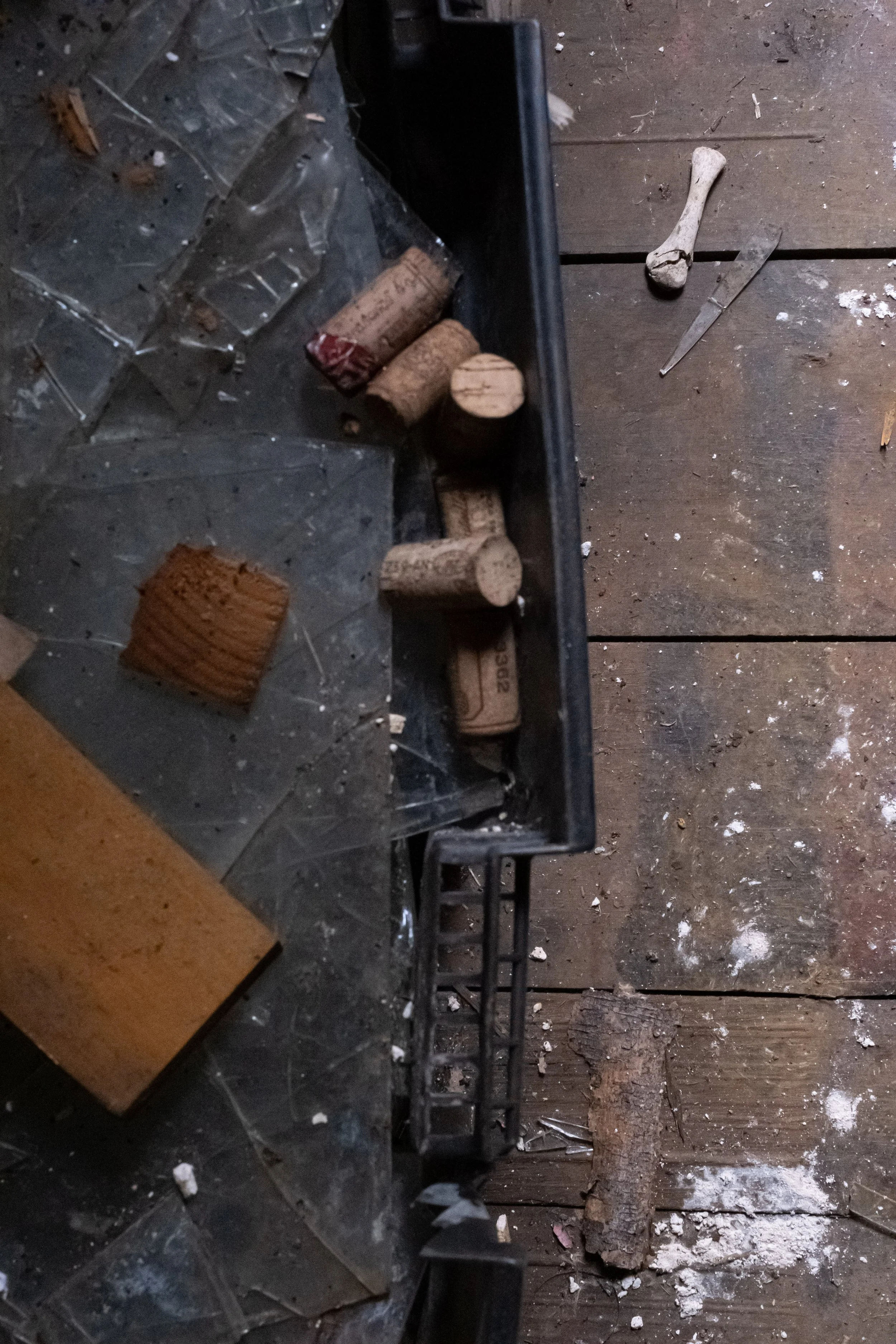 DSCF7425.jpg