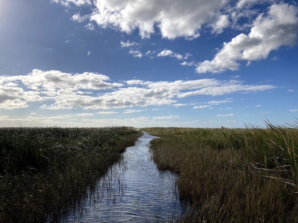 evergladesairboat4.jpg