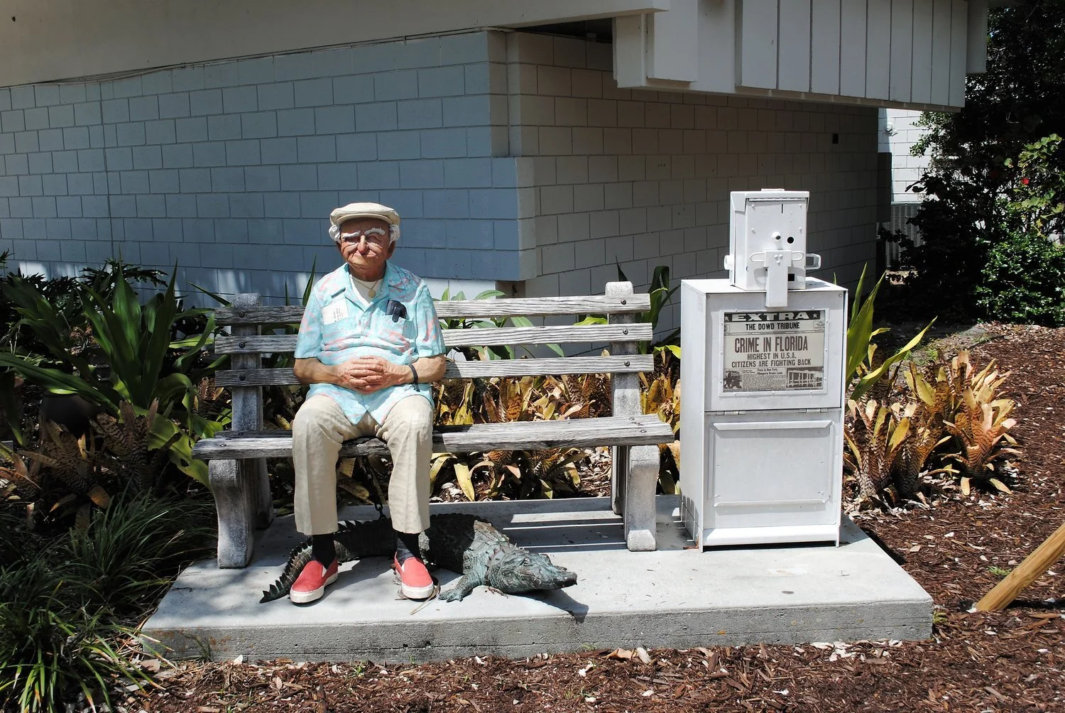 DSC_0026.jpg