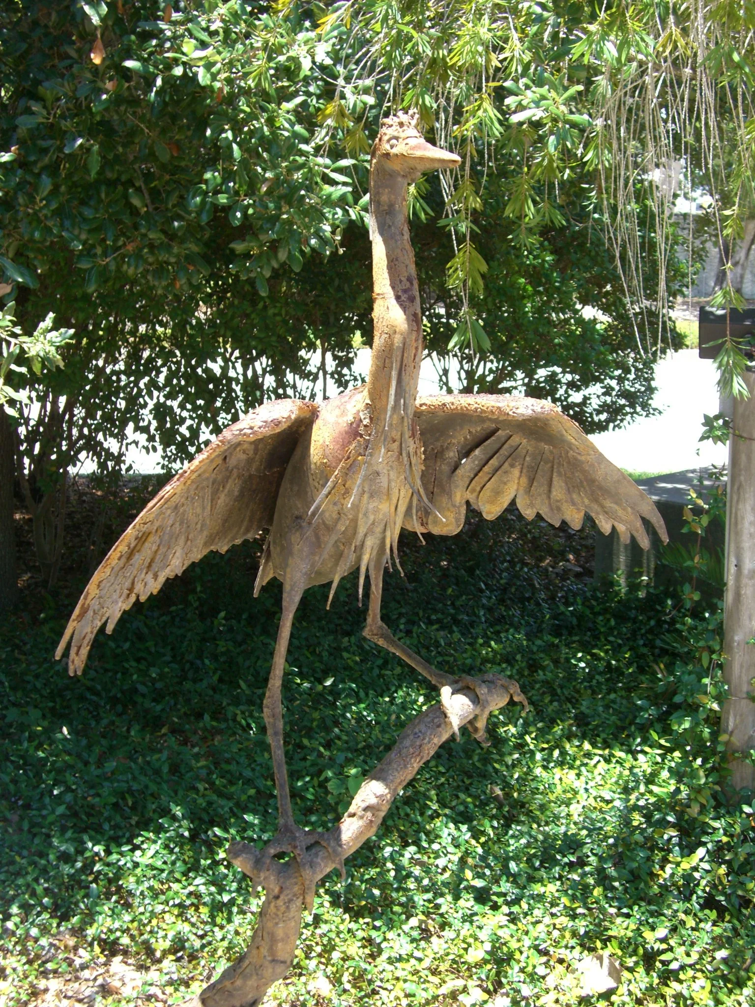 Bird by A.S. Briseno.JPG