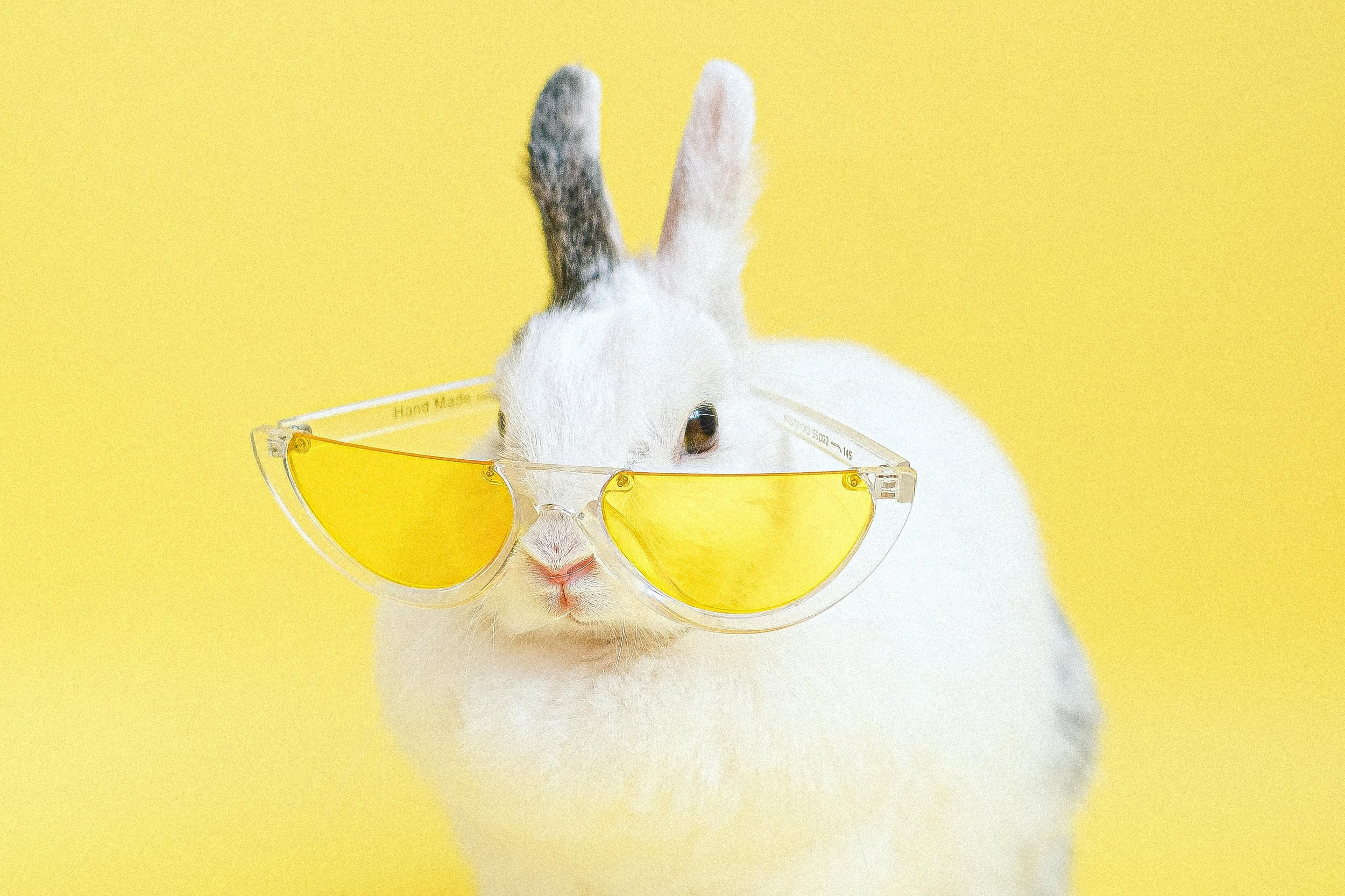 Creative Creatures: July 6–10