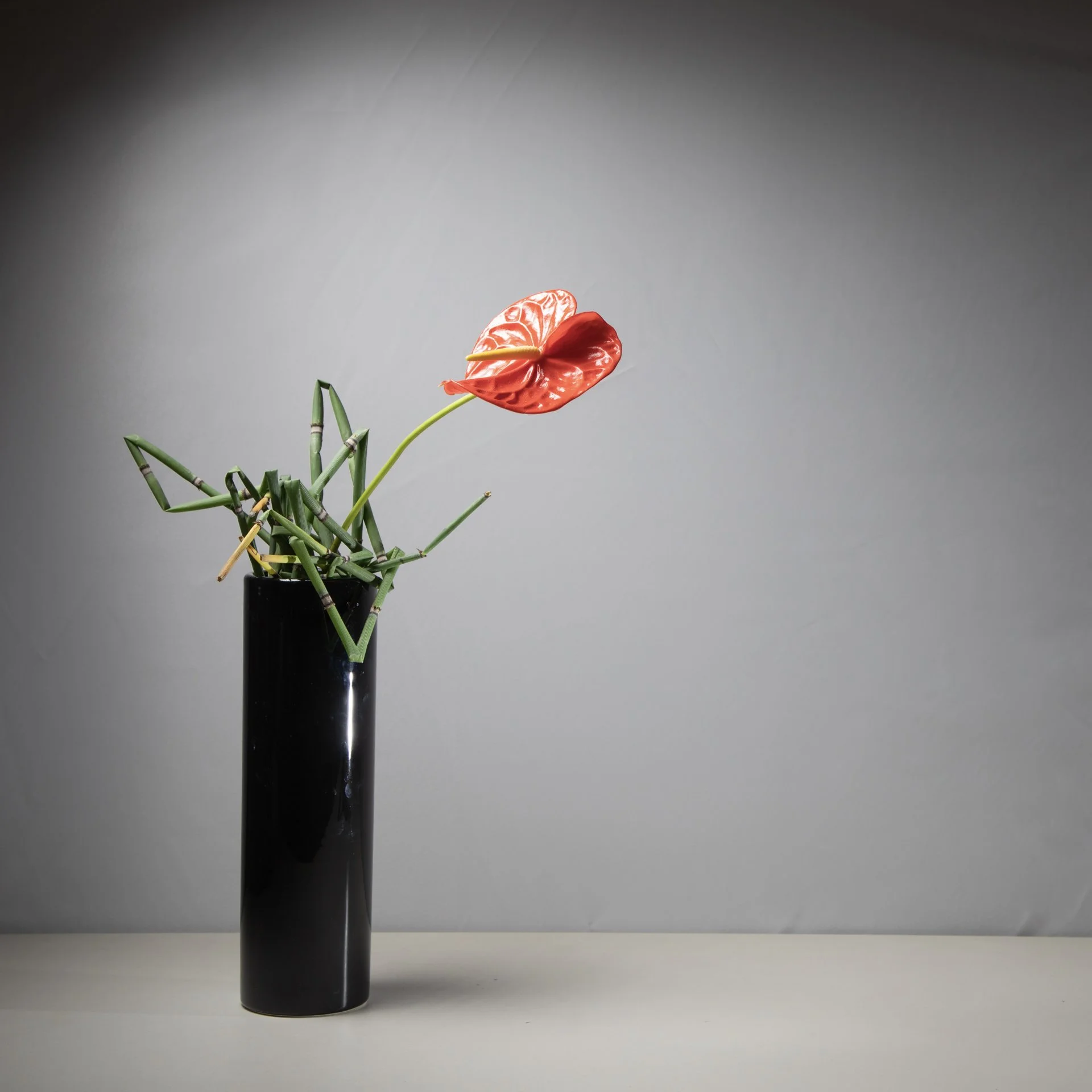 FEB 13: Stevie D'Ercole, Ikebana Japanese Art