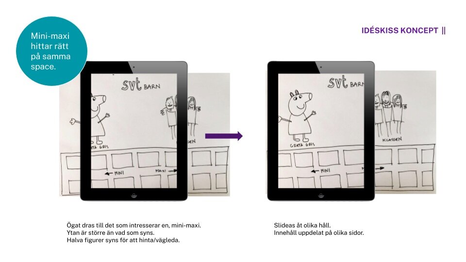 Kopia+av+SVT.jpg