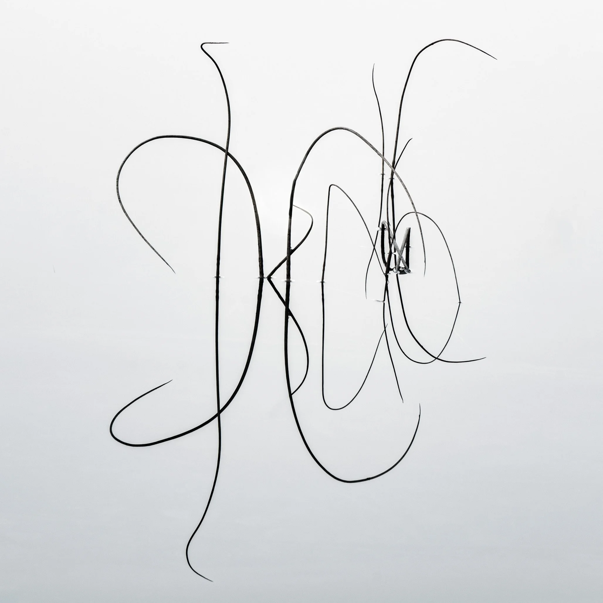 IBKA Simple web6.jpg