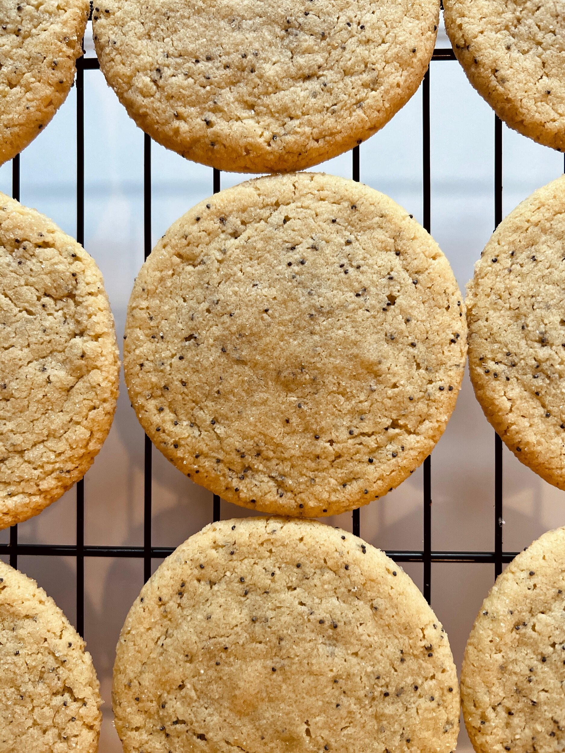 D7BBFE86-8998-4436-89C5-1AA437726FCE