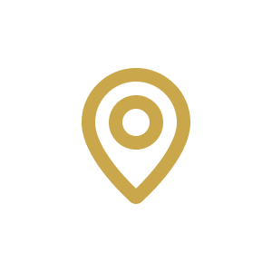 location icon
