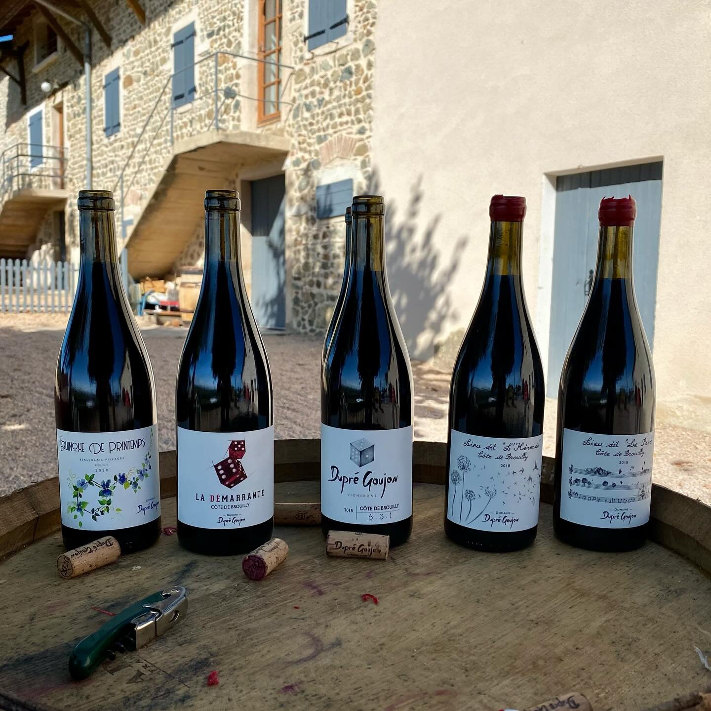 🍇 Winemaker spotlight!

It is the perfect season to talk about the delicious wines made by our dear friends Guillaume Goujon and S&eacute;bastien Dupr&eacute;, winemakers at Domaine Dupr&eacute;-Goujon located in the C&ocirc;te de Brouilly Beaujolai