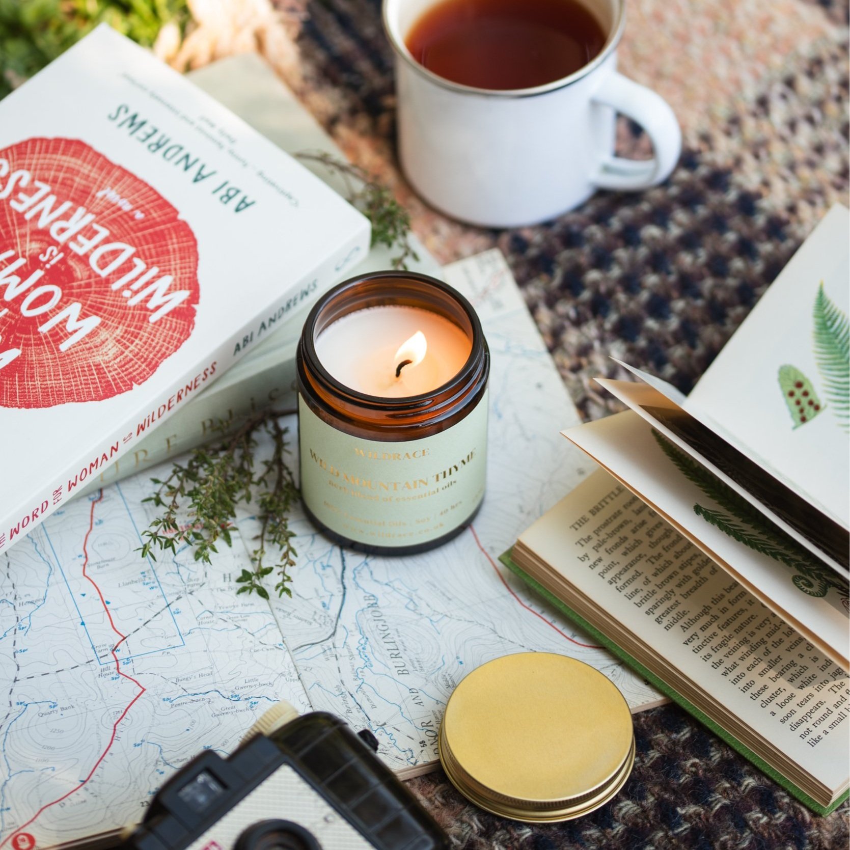 Wild+mountain+thyme-2.jpg