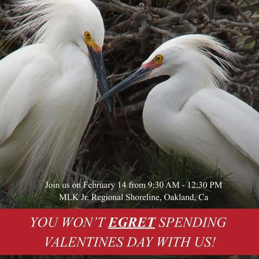 LGBTQ Valentine’s Nursery Gardening Day, hosted by TurnOut and Save the Bay