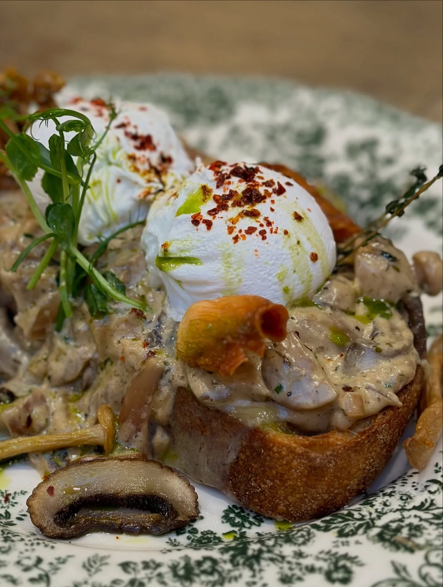 A must try from our new menu at Petit D&eacute;jeuner! Heavenly Cheesy Mushrooms 🍴✨ Poached eggs on saut&eacute;ed mushrooms with cream cheese &amp; herbs on homemade sourdough! 🍳 Served all day! 

#brunch #breakfast #sourdough #faitmaison #petitde