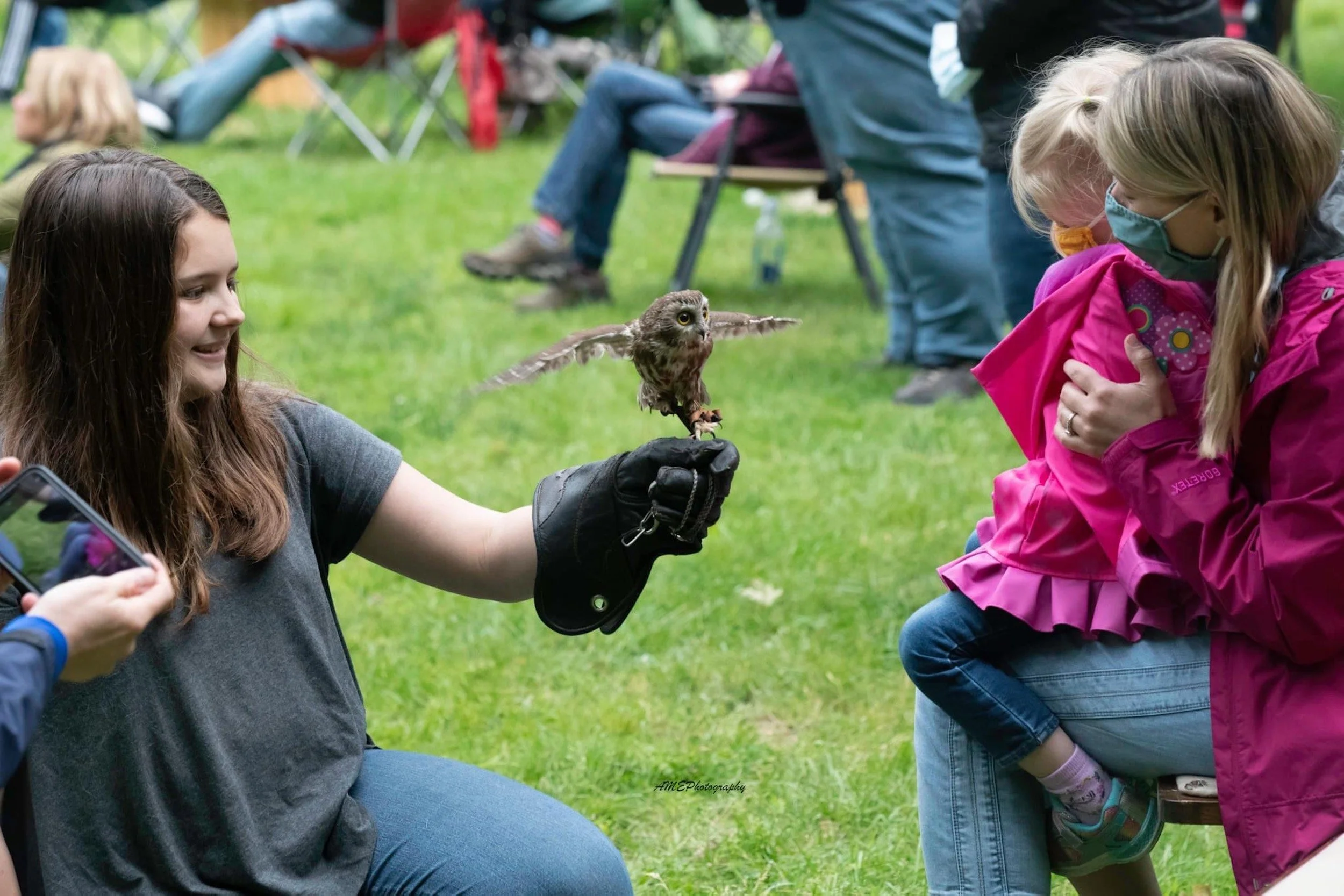 Owl-Wildlife-Series-Outdoors-The-Word-Barn-Meadow-Exeter-NH.JPG