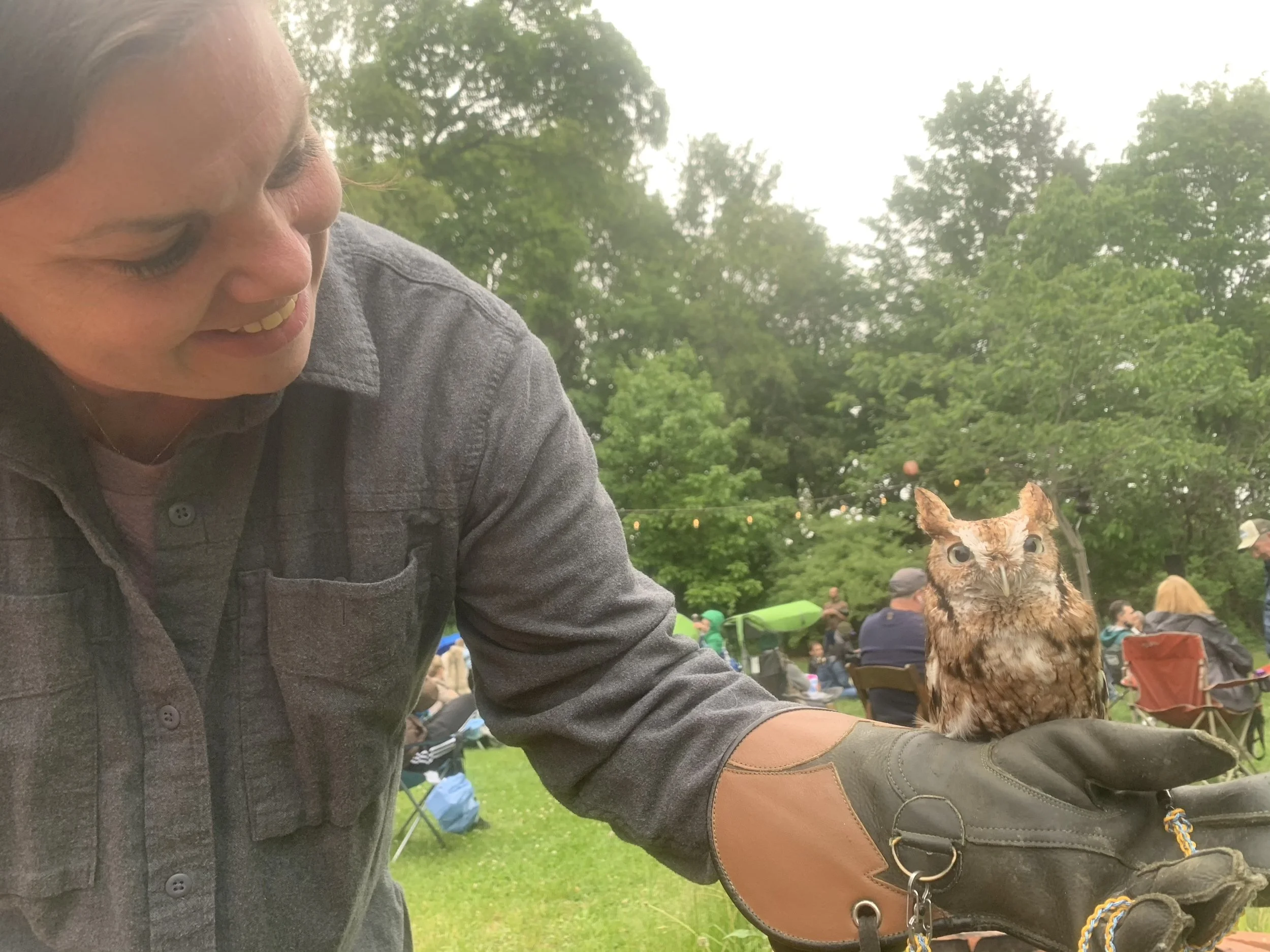 wildlife workshop exeter nh