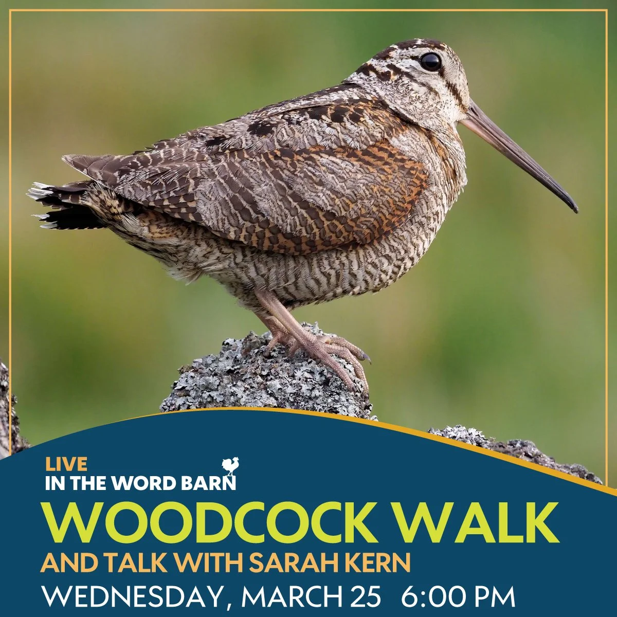 Woodcock Walk