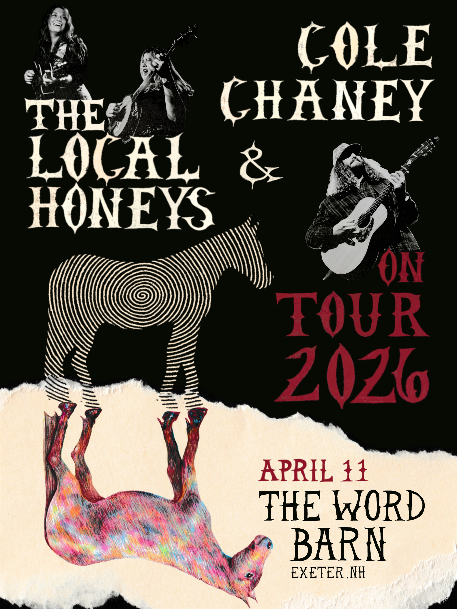 Cole Chaney &amp; The Local Honeys