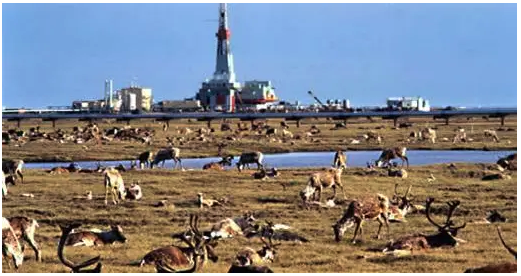 Drilling in the Alaskan Arctic National Wildlife Reserve vs. Renewable Energy: The Drilling Debate, Economic and Environmental Effects, and How Solar and Wind Energy Investment Would Compare