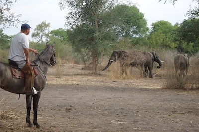 Horse-Trails-with-elephants-400x266.jpg