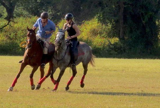 working-on-our-polocrosse.jpg