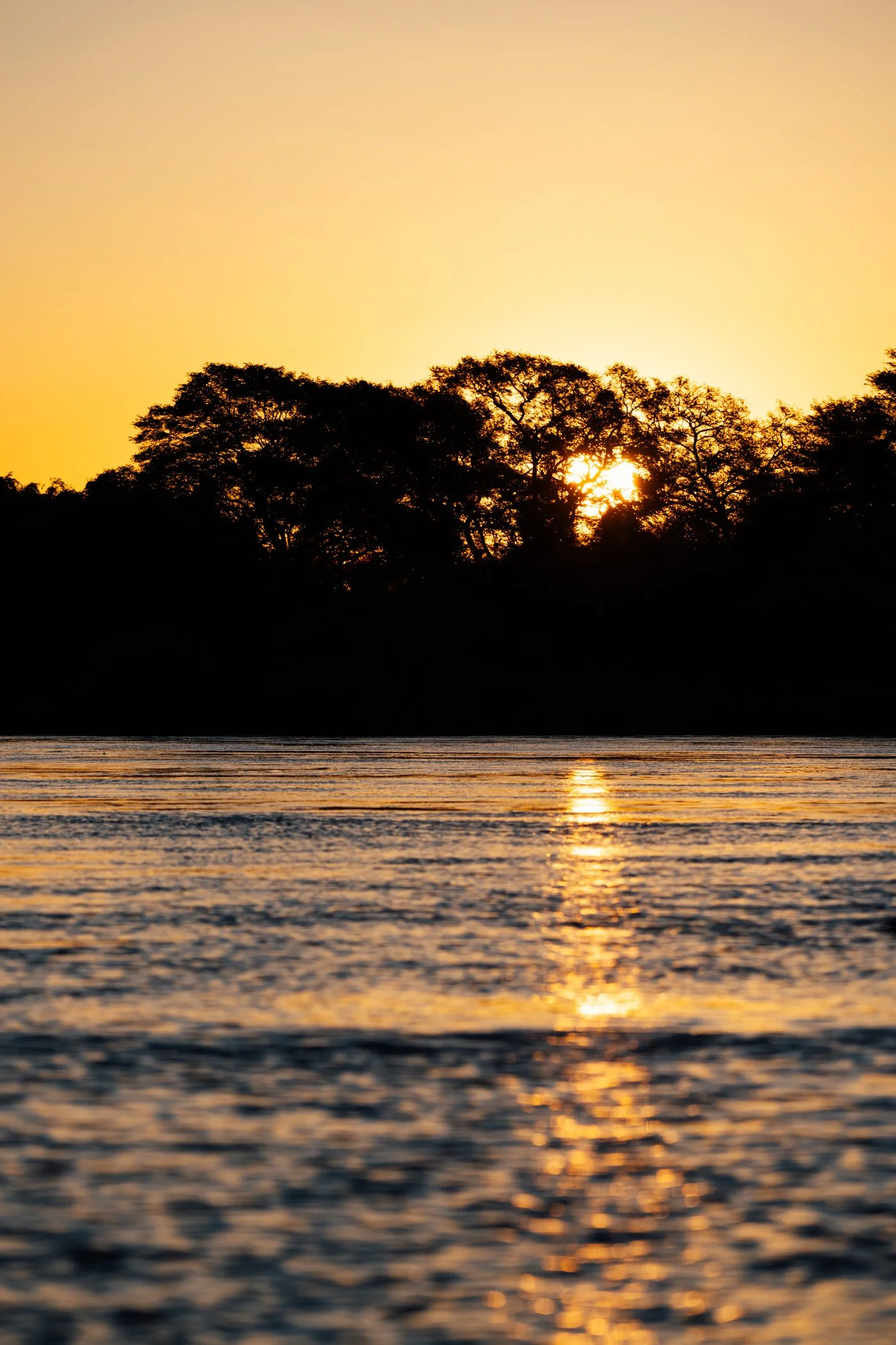 2025-05-chundukwa-livingstone-zambia-by-marion-payr-319.jpg