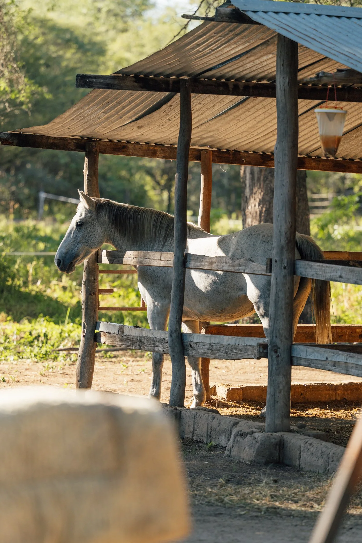 2025-05-chundukwa-livingstone-zambia-by-marion-payr-1021.jpg