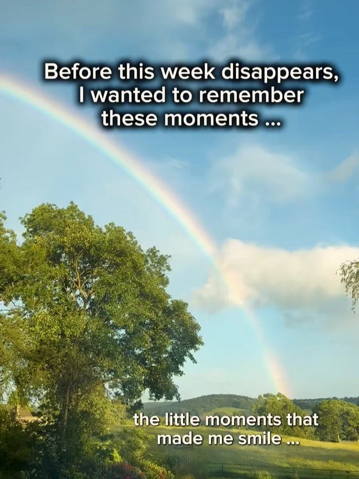 Before this week disappears, I wanted to save a few of the moments that made me pause.

A butterfly resting long enough to be noticed. 
A walk with my dog. 
Stopping to admire cows in a field. 
Watching our local peacock casually make his way across 