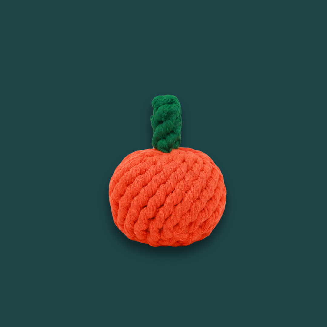 fruit_dog_rope_toy_orange_dog_chew_toy.png