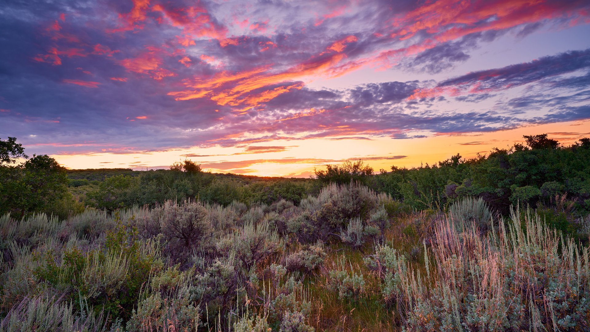 Private land Steamboat Springs, CO antelope hunting