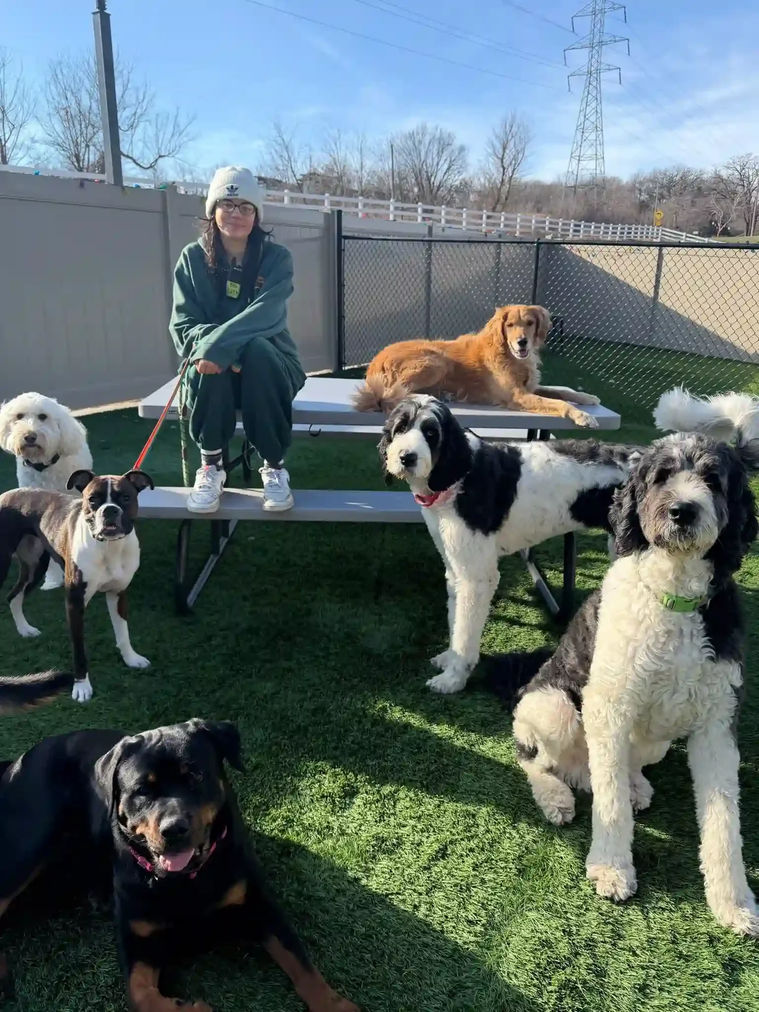 A woman with glasses and a beanie sitting on a bench surrounded by seven dogs in an outdoor fenced area on a sunny day at a dog boarding facility in Omaha, NE
