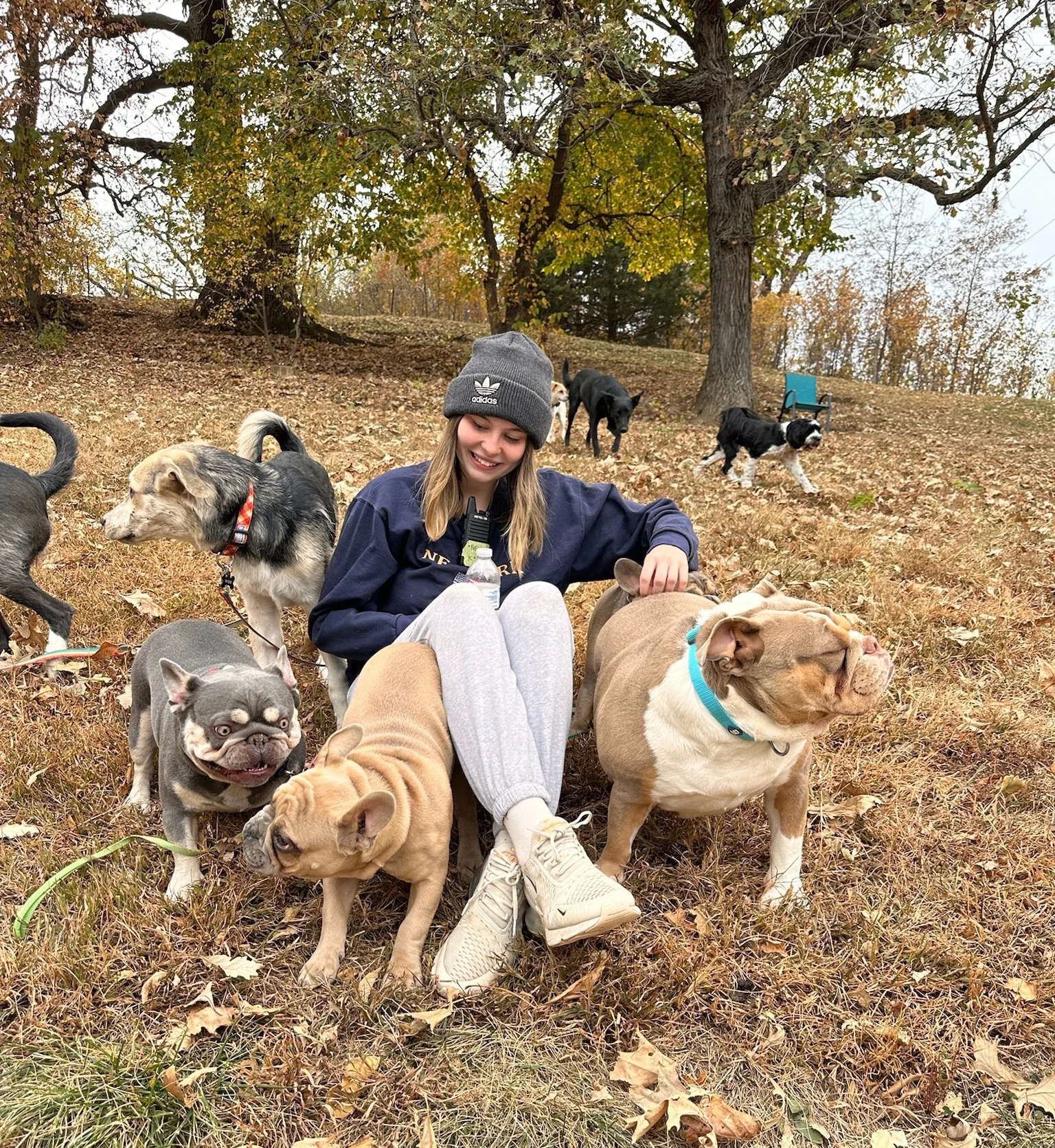 A woman sitting on the ground outdoors surrounded by several dogs, some sitting and some standing, with trees in the background during fall at a dog boarding facility in Omaha, NE