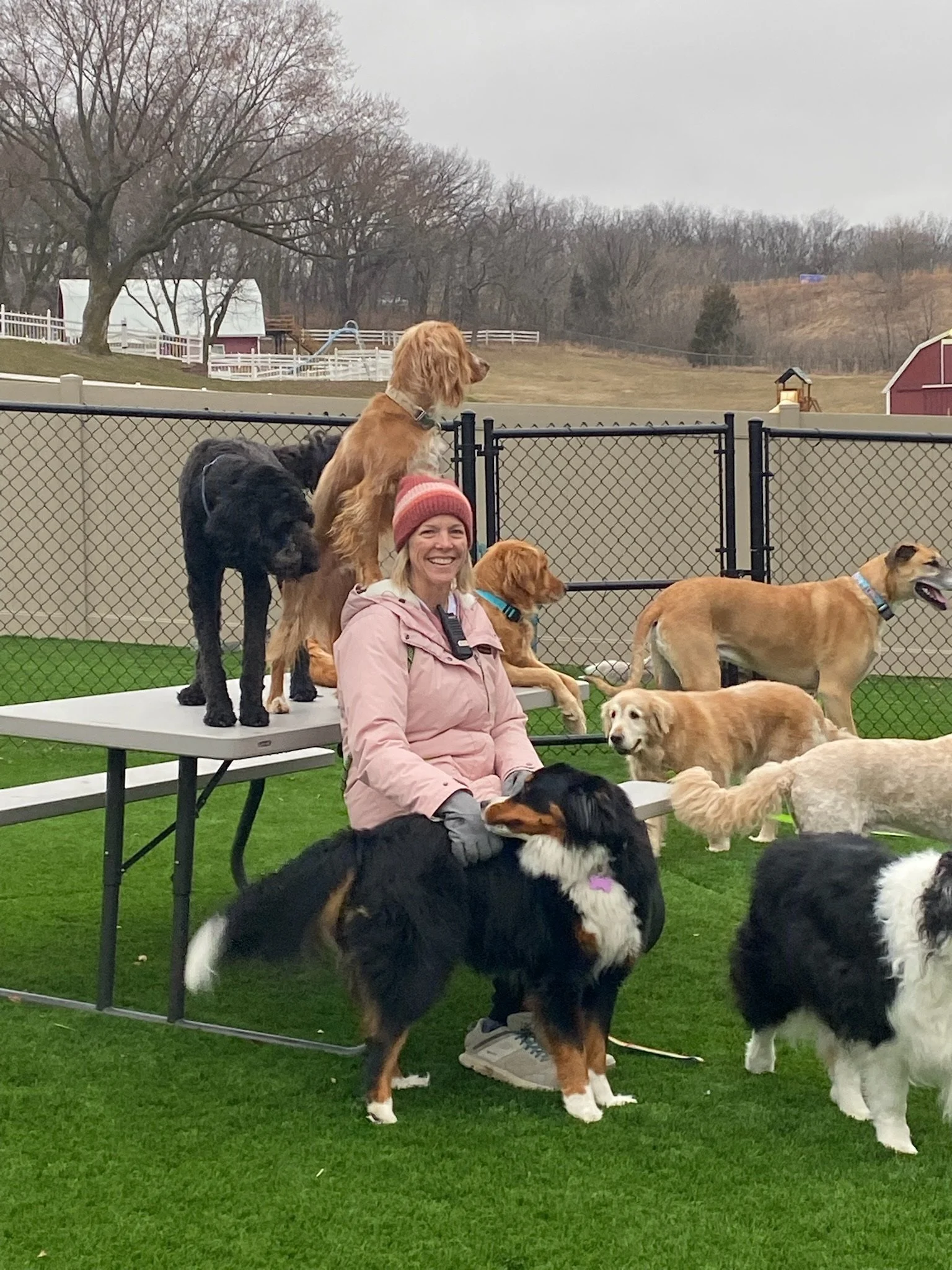 Woman in pink jacket and red beanie surrounded by multiple dogs on grassy area with trees and fences at a dog boarding facility in Omaha, NE