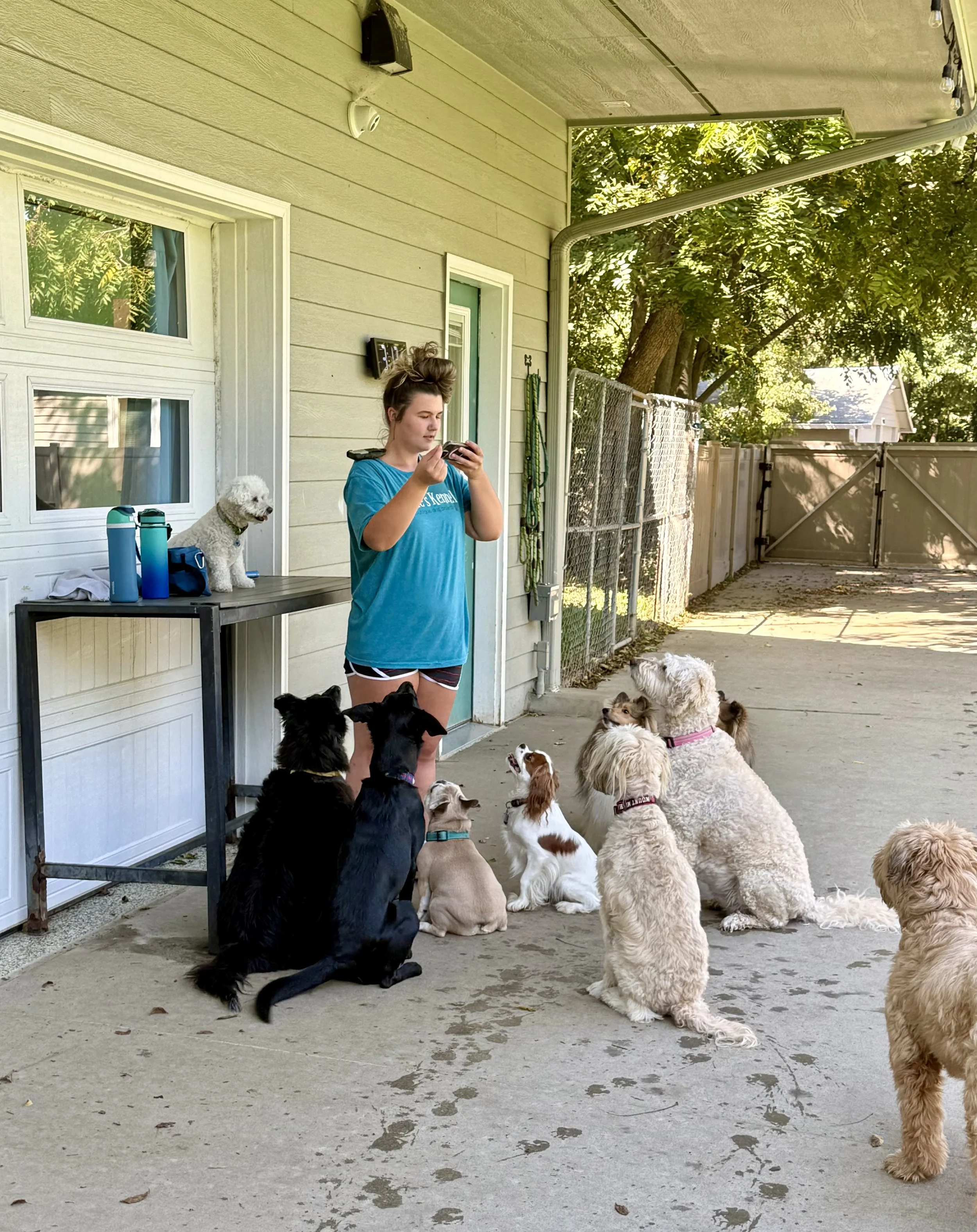 Young woman with dark hair holding a long-haired dog while sitting on a blue chair in a fenced backyard at Katie’s Kennel in Omaha, NE