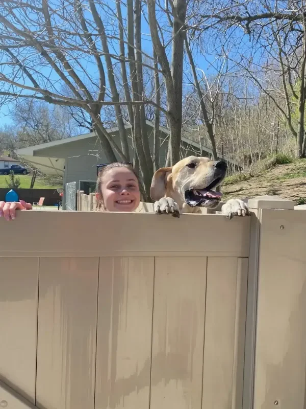 The top of a girl's face and a dog's face can be seen peering over a fence at a dog boarding facility in Omaha, NE. 