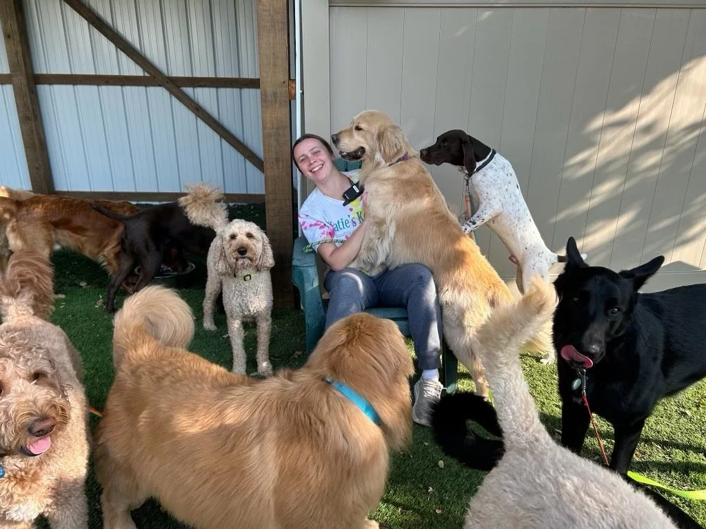 A woman sitting on a chair surrounded by multiple dogs of various breeds and sizes in an outdoor setting at Katie’s Kennel in Omaha, NE