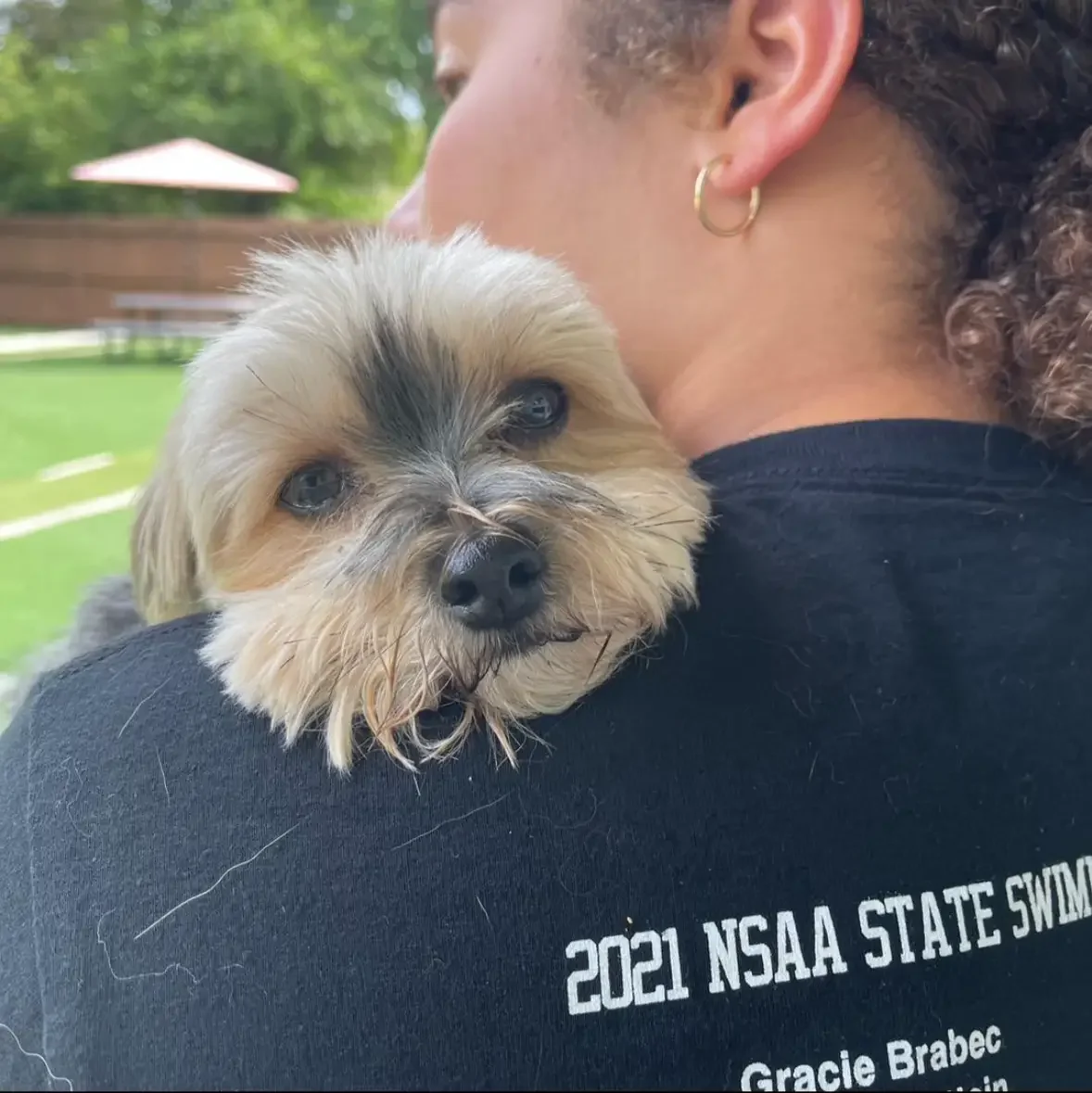A small tan and black dog resting on a person's shoulder outdoors with a green backyard and a patio umbrella at a dog boarding facility in Omaha, NE