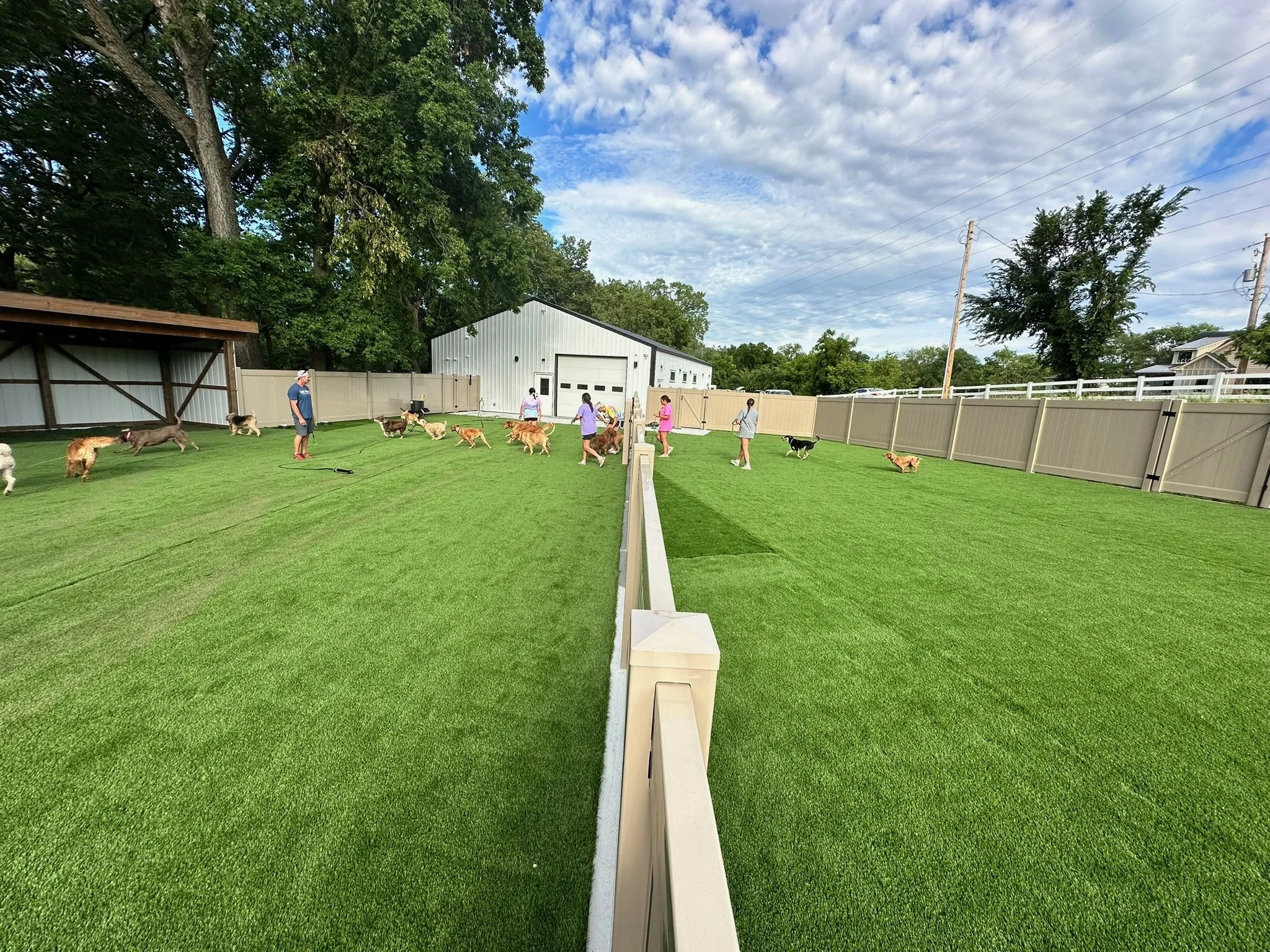 People walking dogs in a fenced outdoor dog park with green grass, trees, and a building in the background at Katie’s Kennel in Omaha, NE