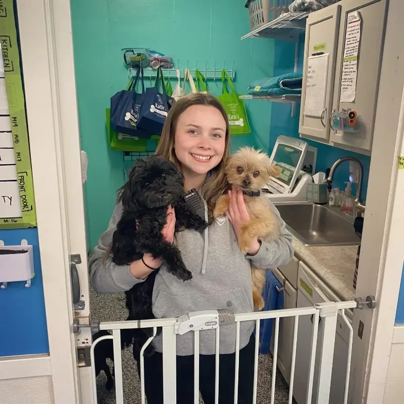 A woman in a gray hoodie holding two small dogs inside a clean, indoor dog boarding and daycare space.