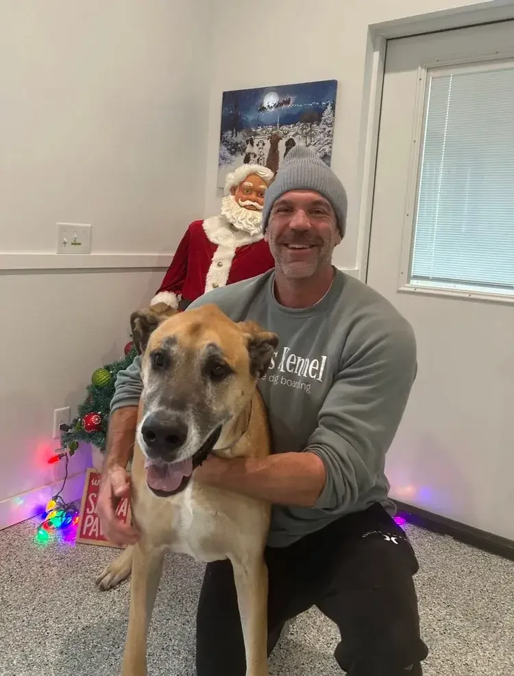 A man kneeling beside a large tan and black dog with holiday decorations behind them at an Omaha dog boarding center.