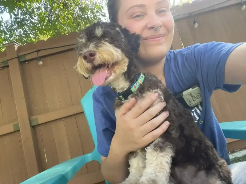 A woman with a septum piercing wearing a blue shirt and smiling while holding a curly-haired puppy outdoors near a wooden fence and string lights at a dog boarding facility in Omaha.