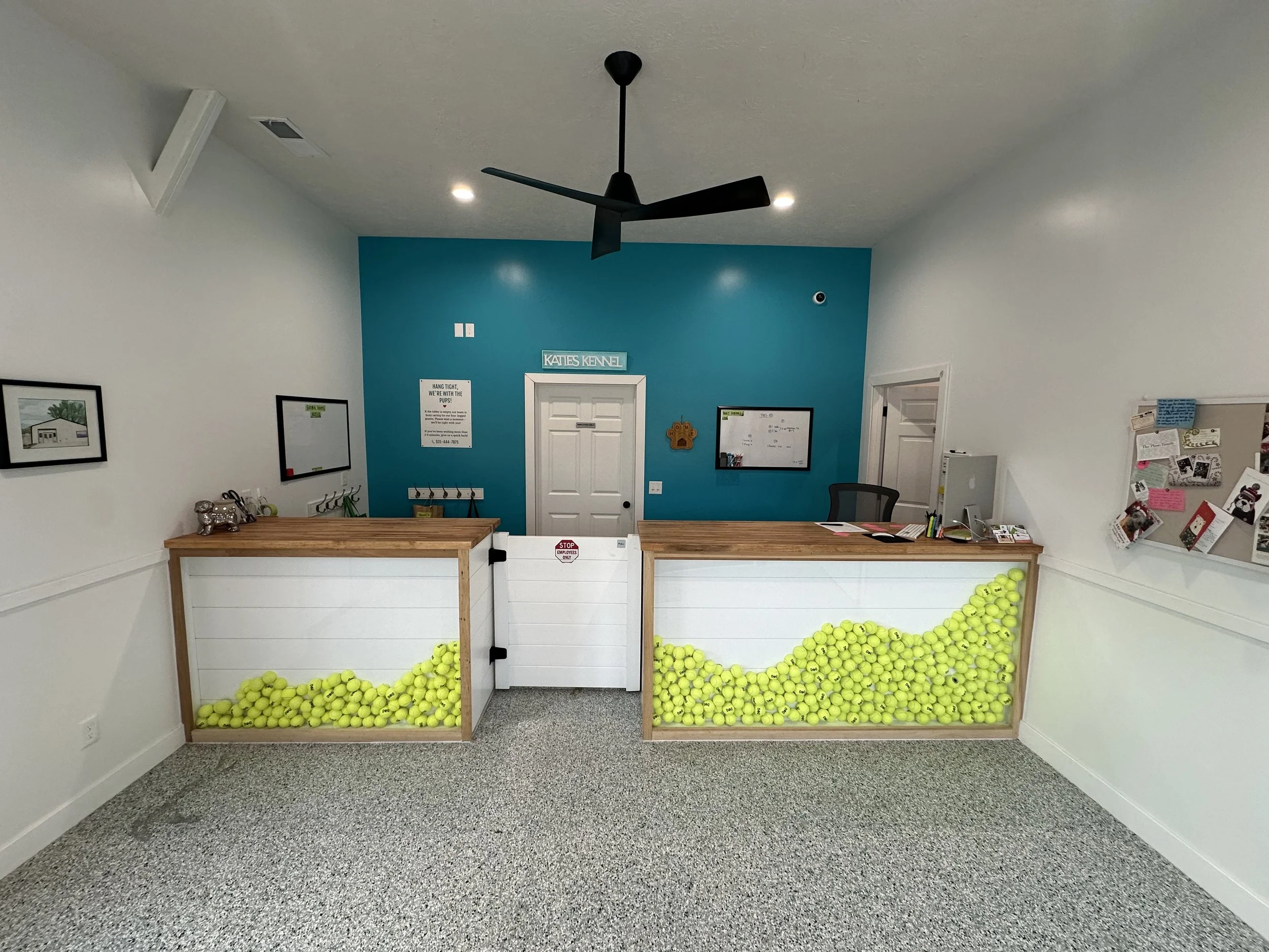 Reception area with two wooden counters filled with yellow tennis balls, a white door with a sign above it that reads 'Katies Kennel', a blue accent wall, bulletin boards, and a black ceiling fan at Katie’s Kennel in Omaha, NE