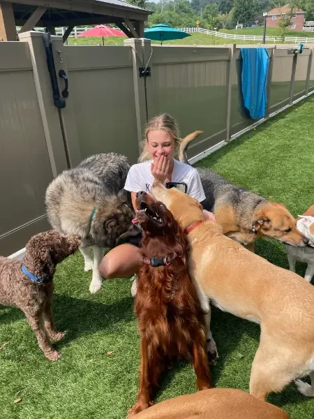 A young woman sitting on the grass in a backyard of a dog boarding facility in Omaha, NE surrounded by several dogs, smiling and playing with them, with a fence, some umbrellas, and a house in the background.