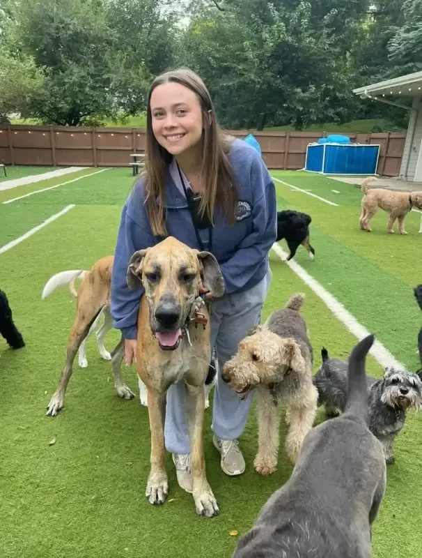 A smiling girl standing on a grassy yard surrounded by multiple dogs of various breeds and sizes at an Omaha dog boarding facility.
