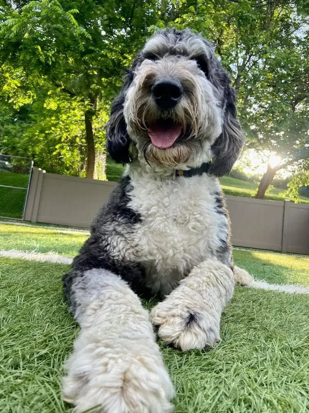 F2FB628B-320E-46A3-8AF7-45A06D5309B6 (2).webp