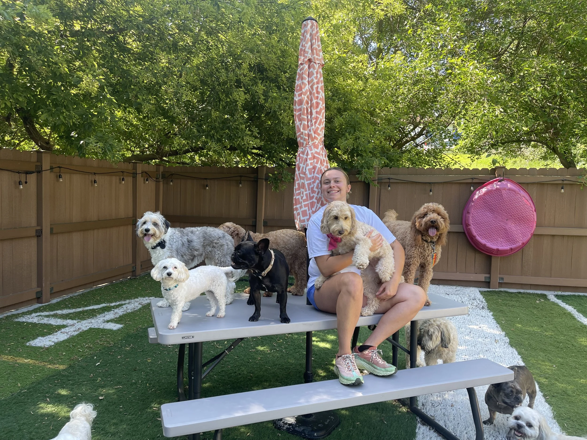A woman sitting on a picnic table surrounded by several dogs in a fenced backyard with trees and umbrella at a dog boarding facility in Omaha, NE
