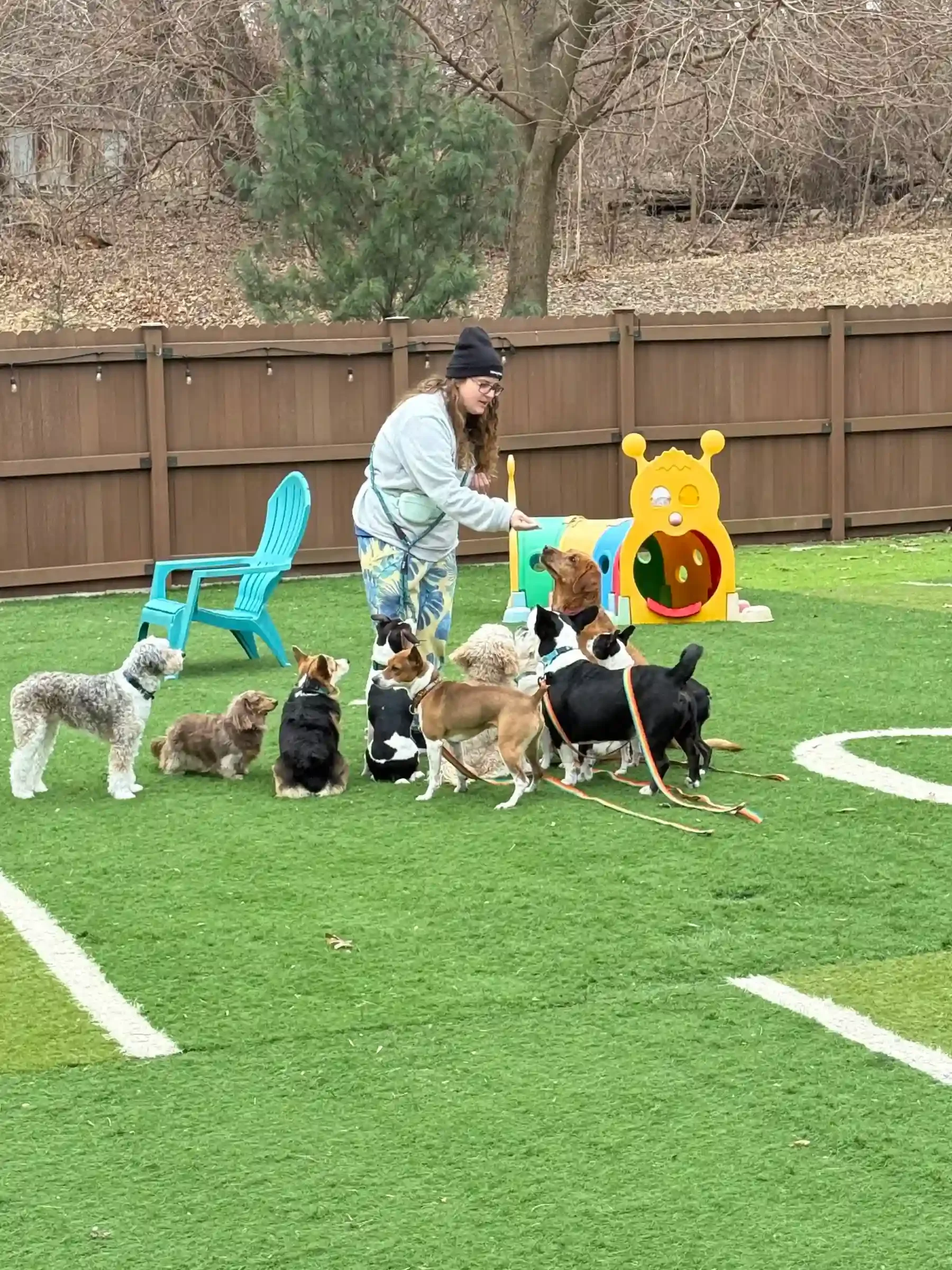 A woman training multiple dogs in a backyard with artificial grass, fenced yard, and a colorful bamboo-shaped dog toy at a dog boarding facility in Omaha, NE